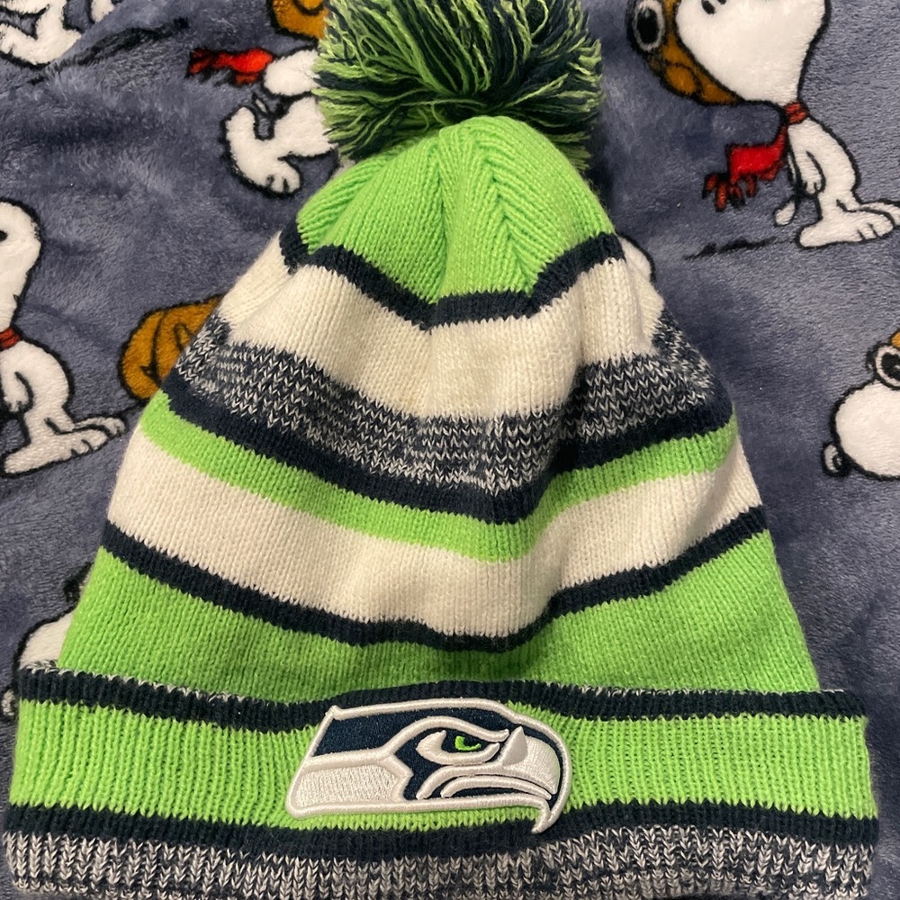 NFL Seattle Seahawks winter beanie hat